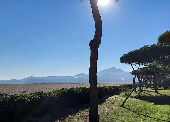 Appartement Renove Avec Balcon A 100 M De La Plage